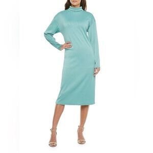 NWOT Bold Elements Long Sleeve Midi Dress